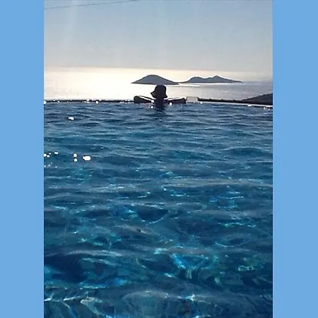 Toros Kalkan